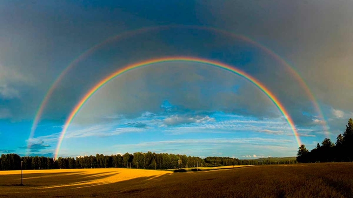 Diversidad en colores: 3 de abril, día mundial del arcoiris