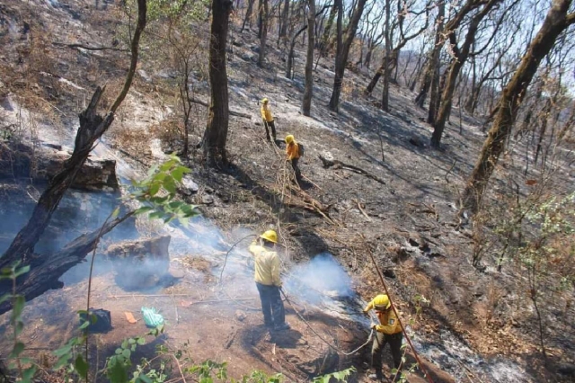  El fuego afectó más de 300 hectáreas.