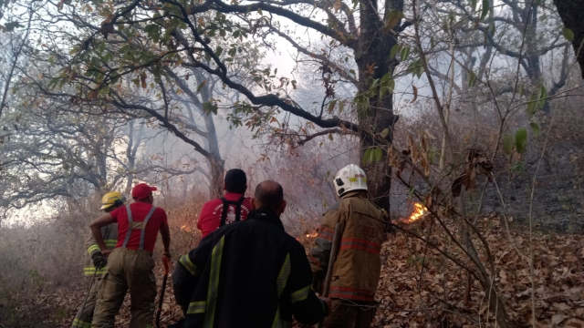 Atiende Bomberos Cuernavaca incendio forestal en Villa Santiago
