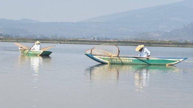 Pescadores solicitan apoyo de la Marina para limpiar Lago de Pátzcuaro