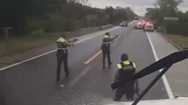 Reportan enfrentamiento armado en la autopista México-Tuxpan