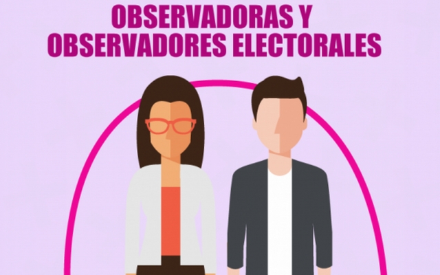 El 3 de abril vence convocatoria para observador electoral