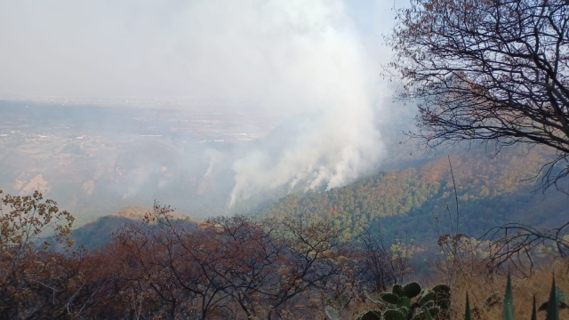 Laboró Mando Unificado en liquidación de tres incendios forestales en Tepoztlán