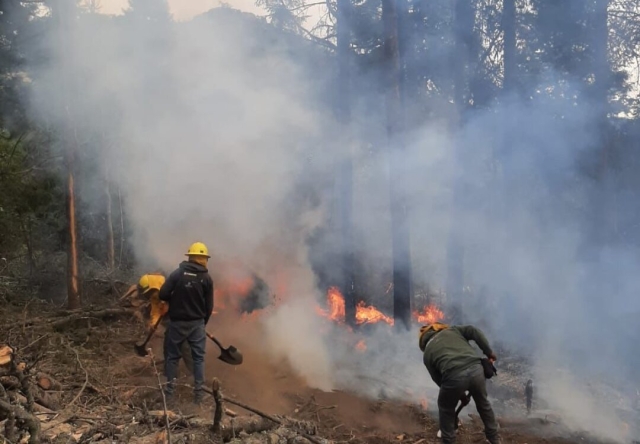 Edomex registra 370 incendios forestales; la mayoría han sido provocados