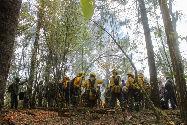 Se mantiene 65% de control y 30% de liquidación en incendio forestal en Huitzilac