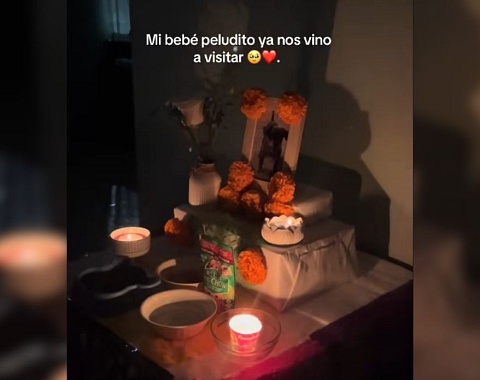 'Mi perrito volvió': emotivo encuentro conmueve en Día de Muertos Captura de pantalla