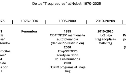 De los “linfocitos T supresores” al Premio Nobel: medio siglo para domesticar la tolerancia inmunológica
