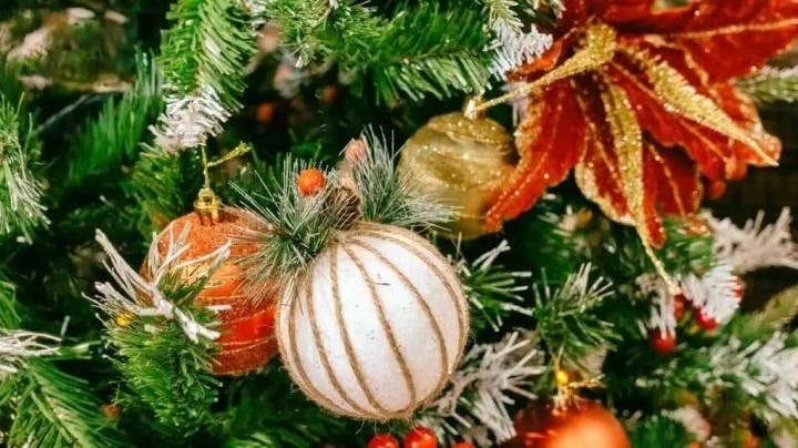 Aromatizante casero para tu árbol de Navidad artificial; ¡olerá a pino natural!