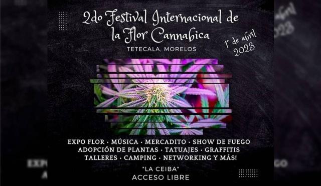 Anuncian segundo Festival Internacional de la Flor Cannabica