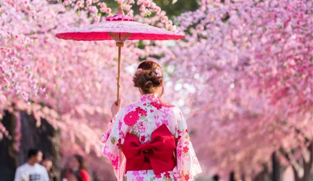 La Costumbre Japonesa del &#039;Hanami&#039; para Reducir el Ruido Mental