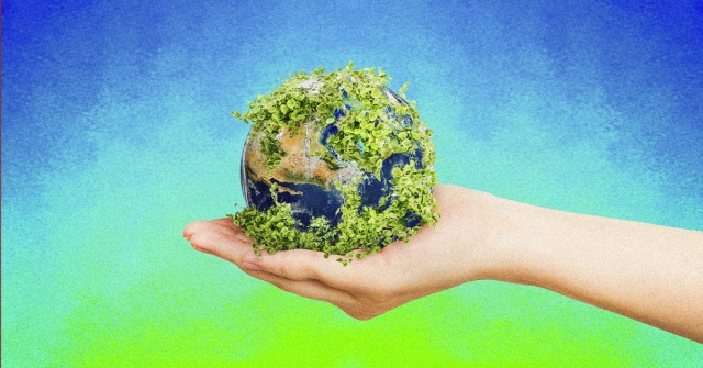 Día Internacional de la Madre Tierra: Origen, significado y formas de celebrarlo