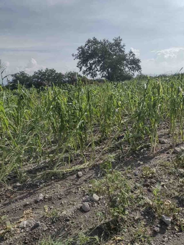 Aún se están evaluando los daños.