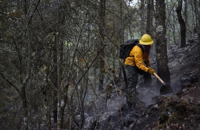 Detalla EEMI reporte vespertino de incendios forestales en Morelos