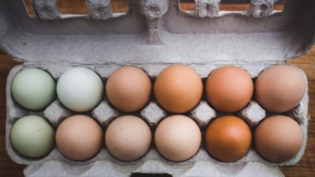 Gripe aviar y guerra en Ucrania hacen subir el precio del huevo en el mundo