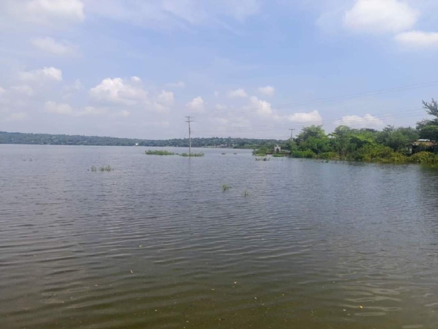 Pescadores refirieron que los torneos de pesca no están permitidos en la presa de El Rodeo.