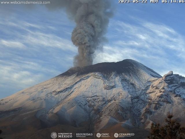 Registra Popocatépetl 5 exhalaciones en las últimas 24 horas; semáforo de alerta volcánica en amarillo fase 3