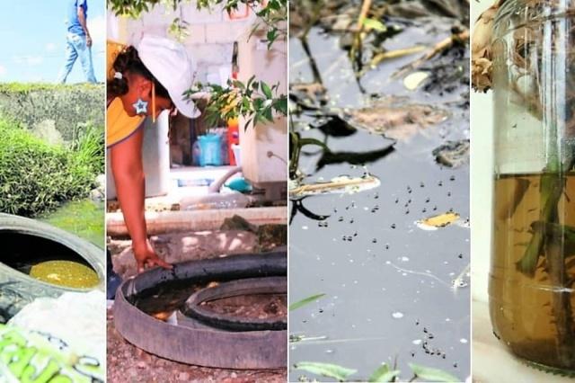 Piden SSM mantener saneamiento básico para evitar criaderos de mosquitos