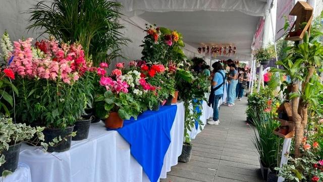 Feria de las Flores San Ángel 2023: ¿Qué actividades habrá y cuándo será?