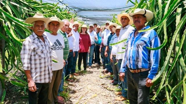 Visita Margarita González Saravia sembradíos de maíz, pitahayas y carambolos en Tepalcingo