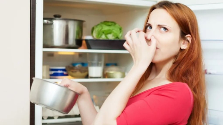 ¿Cuánto tiempo puedes guardar la comida en el refrigerador sin riesgos?