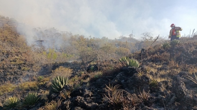 Activo un incendio forestal en el municipio de Tepoztlán
