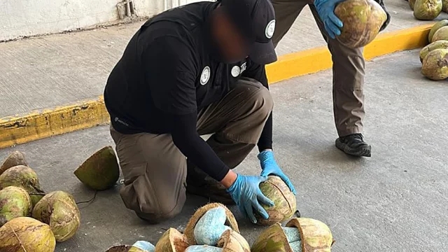 México decomisa 300 kg de fentanilo en cocos en frontera con EU