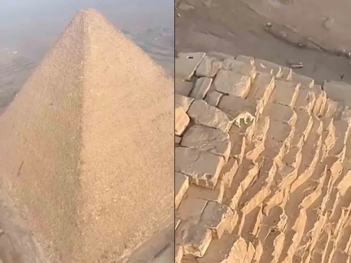 Perrito se vuelve viral al escalar la Gran Pirámide de Giza