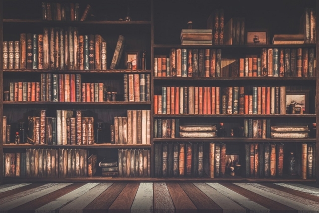 El escritor y su biblioteca
