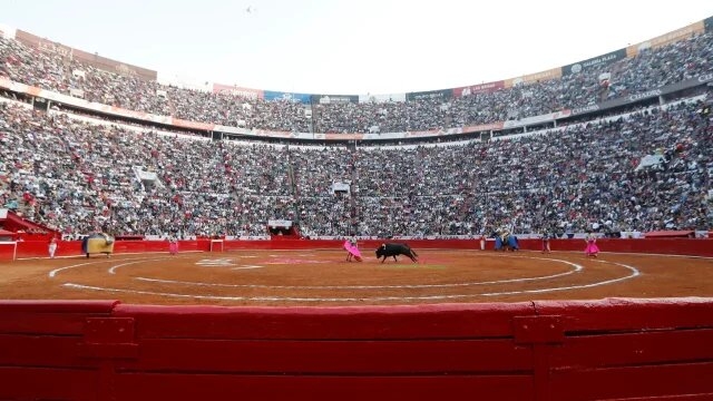 Posponen veredicto sobre corridas de toros en Plaza México