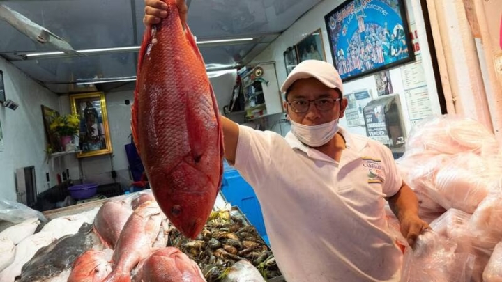 Cuaresma 2023: 9 claves para comprar un pescado fresco y de calidad