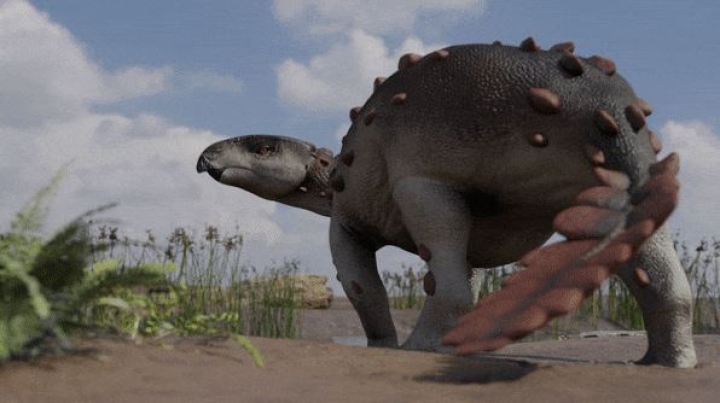 Identifican un anquilosaurio con una rara cola parecida a un garrote azteca