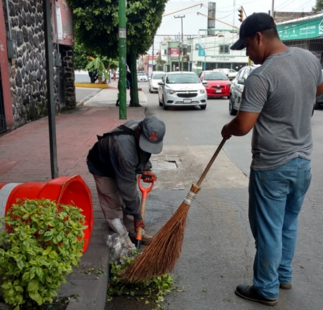 Cuadrilla de mantenimiento remoza la avenida Morelos Sur