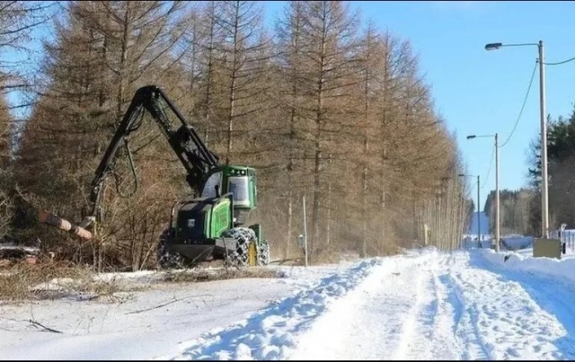 Finlandia construye una valla en la frontera rusa para evitar la llegada de migrantes