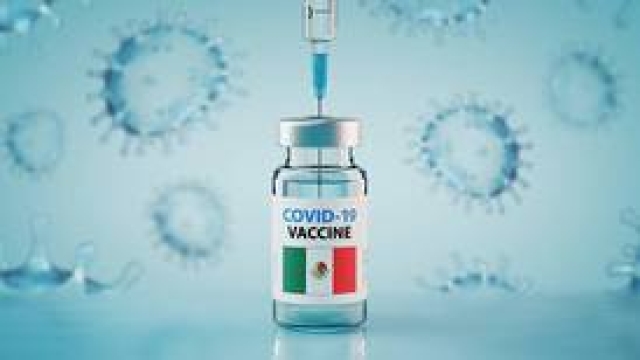 Vacuna Patria es segura para usarse como refuerzo contra COVID: Conacyt