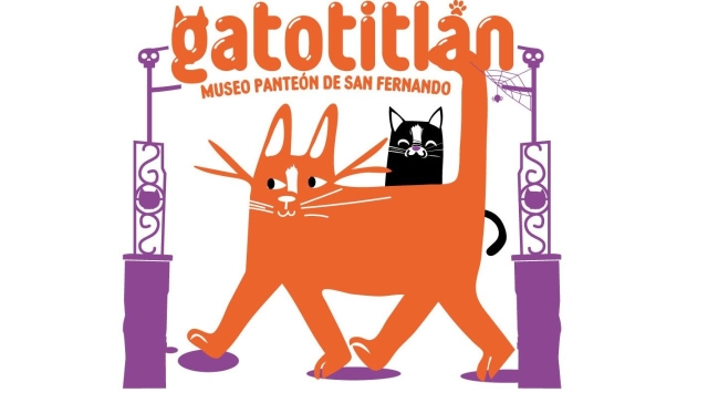 ¡Llega el Festival Gatotilán 2025 a la CDMX para consentir a los michis y ayudar a gatitos en situación de calle!