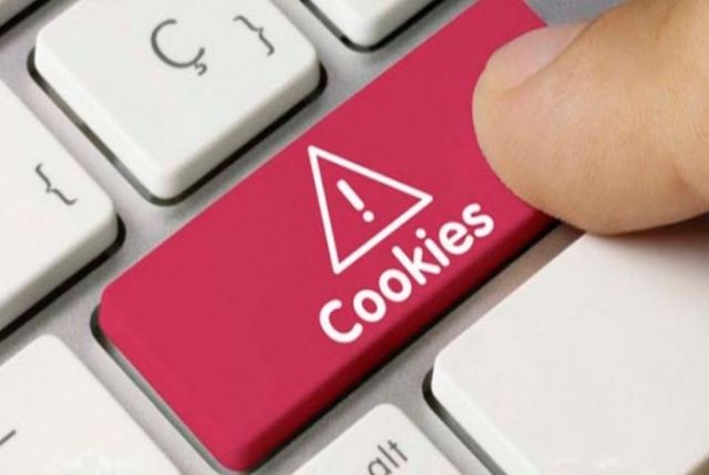 Las “cookies de seguimiento web” estaban destinadas a proteger la privacidad: inventor