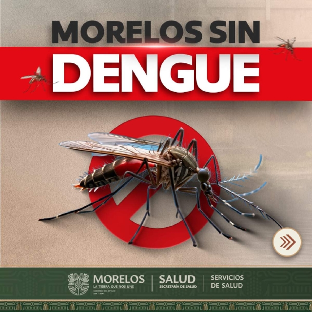 Atención tardía, factor de mortalidad por dengue