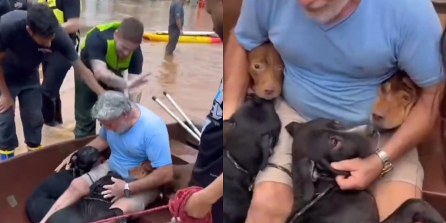 Hombre arriesga su vida para rescatar a sus perros durante inundación