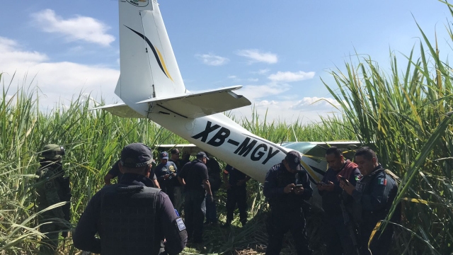 Se desploma aeronave en campos de cultivo del municipio de Ayala