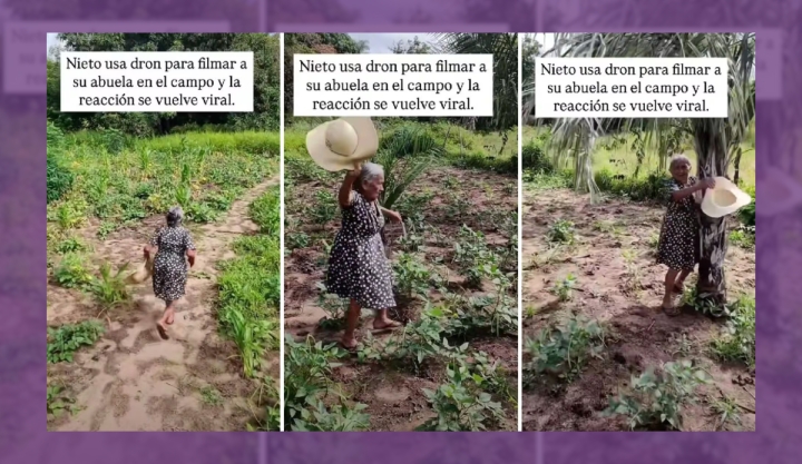&#039;¡Corre, abuela, corre!&#039; Dron asusta a mujer en el campo y video se vuelve viral