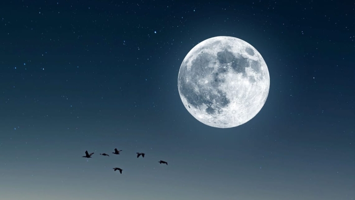 Luna del cazador: cuándo ver la Luna llena de octubre este fin de semana