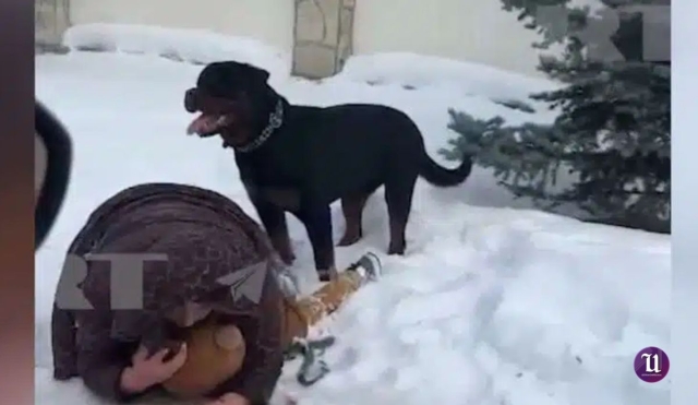 Video viral: Madre protege a su hijo de 5 años de un feroz ataque de rottweiler