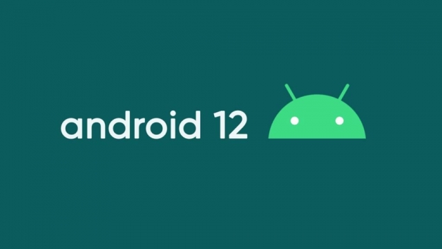 Documento de Google revela la fecha de lanzamiento de Android 12