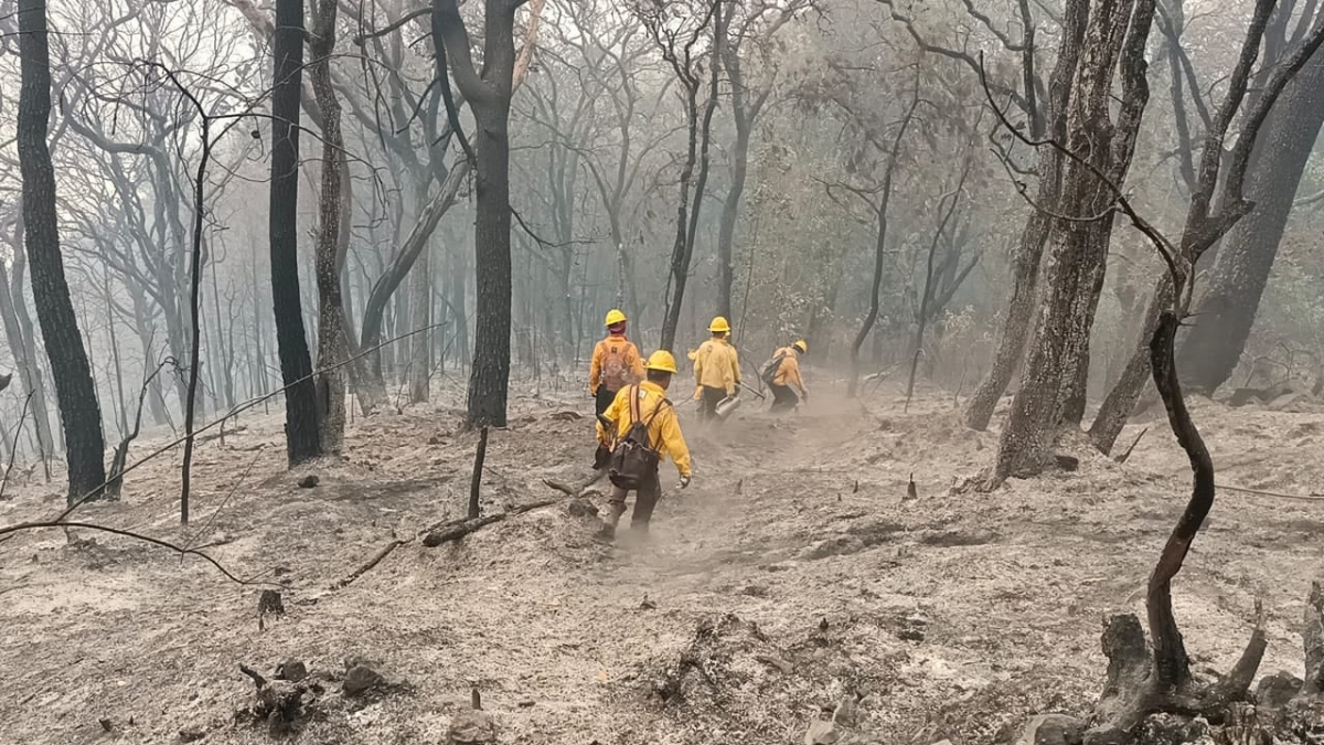 Se Mantiene 20 De Control Del Incendio Forestal En Paraje Malinalapa Eemi 9385