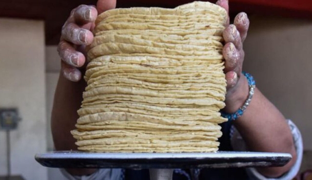 Sin control, el precio de la tortilla: empresarios