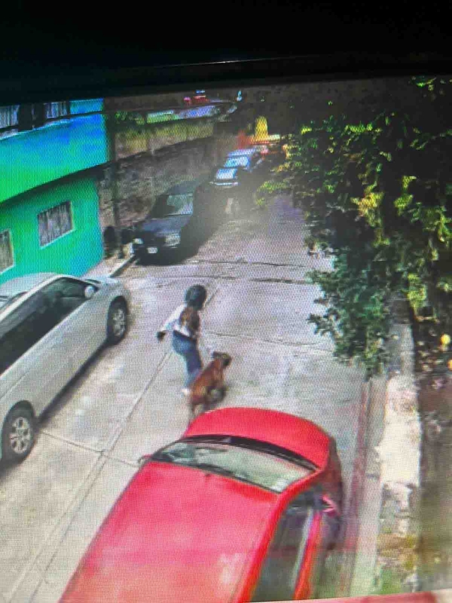 El perro que atacó al menor fue captado por una cámara de la zona.