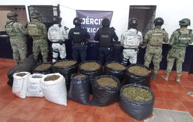 Aseguran integrantes de la Mesa de Paz y Seguridad cargamento de 200 kilogramos de hierba verde similar a la marihuana