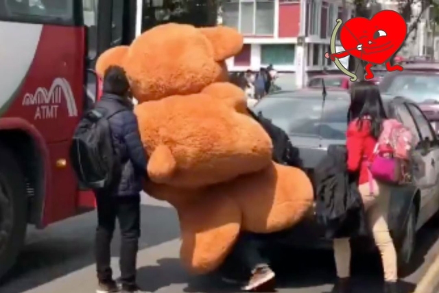 Amor XL: Joven y su oso gigante pelean por un asiento en el camión