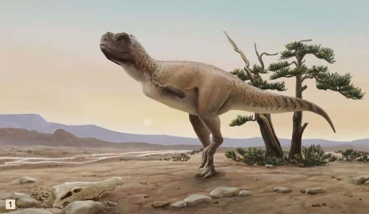 Paleontólogos descubren especie de dinosaurio carnívoro en Brasil