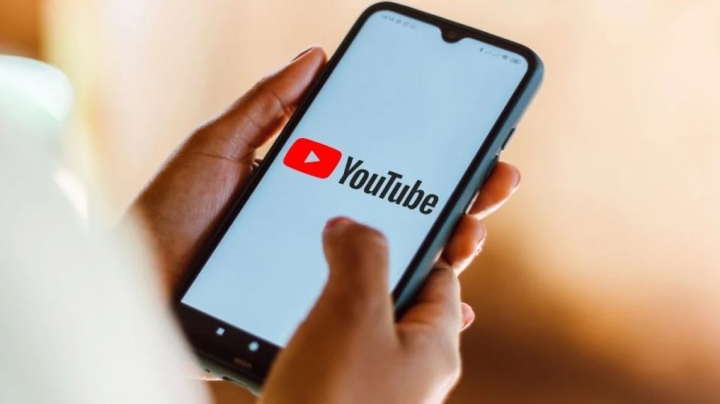 Sin los &quot;No me gusta&quot; YouTube está destinado a morir, según su cofundador